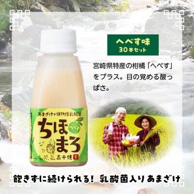 乳酸菌入りあまざけ ちほまろ 150g　30本セット【へべすのみ】