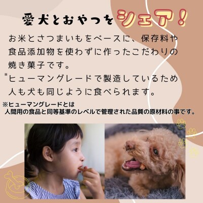 【米粉のドライフード】愛犬と飼い主が一緒に食べられるおやつ!『シェア』16袋セット(40g×16袋)