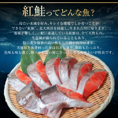 【極味】BIgサイズ一汐紅鮭切り身(厚切り)2切入真空×8袋 ふるさと納税 サケ F4F-7960