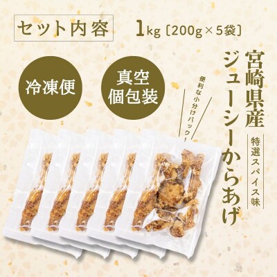 【レンジでプロ味!】宮崎県産ジューシーからあげ 特選スパイス味 200g×5パック/合計1kg
