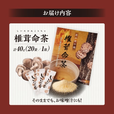 椎茸命茶