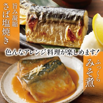 訳あり さば トロ 塩サバ フィレ LLサイズ2.5kg フィレ1枚230g超 [20565620]
