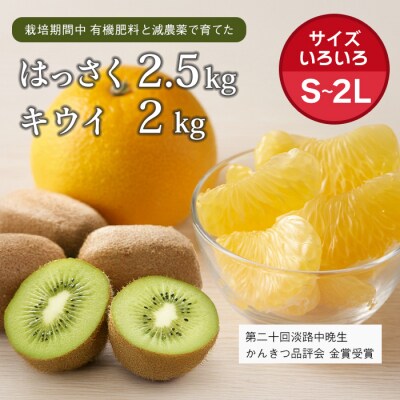 片山農園の淡路島のはっさく2.5kgとキウイ2.0kg【サイズ色々S～2Lサイズ】　ak03805