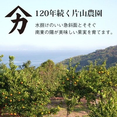 片山農園の淡路島のはっさく2.5kgとキウイ2.0kg【サイズ色々S～2Lサイズ】　ak03805
