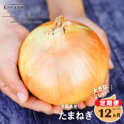 【定期便12ヶ月】淡路島たまねぎ 大きな2Lサイズ 5kg　ak04034