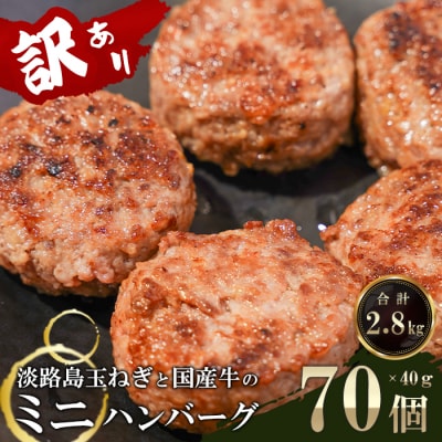 訳アリ 淡路島玉ねぎと国産牛のミニハンバーグ2.8kg　40g×70個　at04118