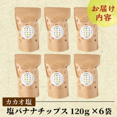 カカオ塩バナナチップス(合計約720g・120g×6袋)【かわいち国分】A0-251-B