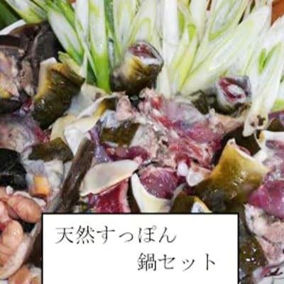 天然すっぽん鍋【3～4人前】