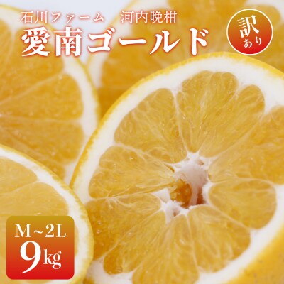 【先行予約】訳あり 愛南ゴールド(河内晩柑) 9kg  サイズ(Ⅿ～2Ⅼ) 石川ファーム
