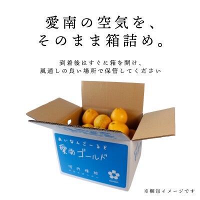 【先行予約】訳あり 愛南ゴールド(河内晩柑) 9kg  サイズ(Ⅿ～2Ⅼ) 石川ファーム