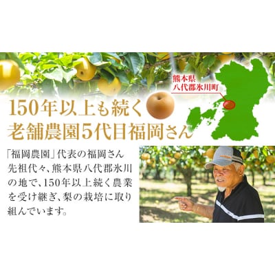 梨 贈答用 あきづき 福岡農園 こだわりの梨 あきづき 約3.5kg 《9月上旬-9月下旬頃出荷》