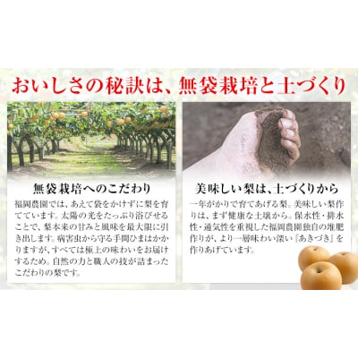 梨 贈答用 あきづき 福岡農園 こだわりの梨 あきづき 約3.5kg 《9月上旬-9月下旬頃出荷》