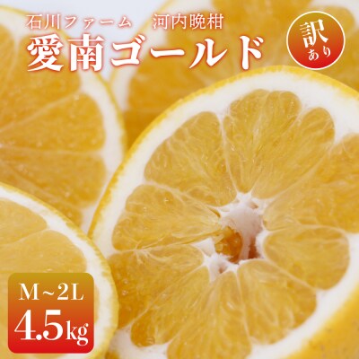 【先行予約】訳あり 愛南ゴールド(河内晩柑) 4.5kg 7000円  M～2L 石川ファーム 