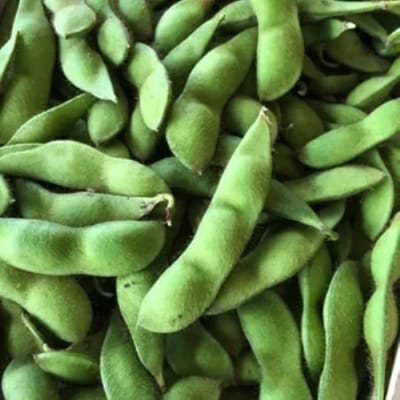 筑前クロダマル(黒大豆)の枝付枝豆 約4kg