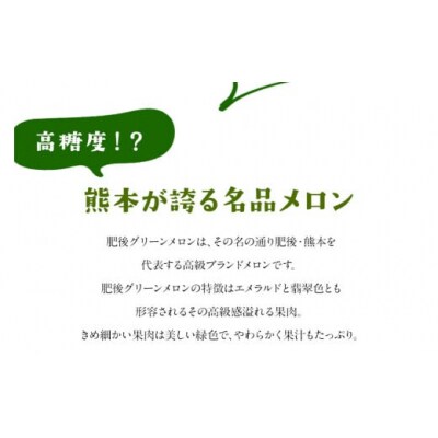 【先行予約】「ミヤザキファーム」 肥後グリーンメロン2玉 糖度14度以上(14度-17度) 氷川町