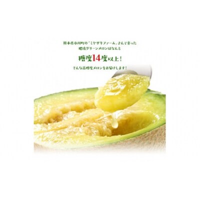 【先行予約】「ミヤザキファーム」 肥後グリーンメロン2玉 糖度14度以上(14度-17度) 氷川町