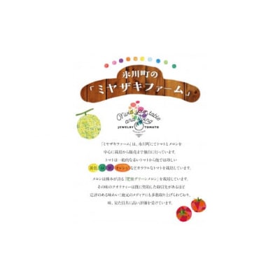 【先行予約】「ミヤザキファーム」 肥後グリーンメロン2玉 糖度14度以上(14度-17度) 氷川町