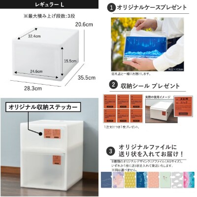 Stack System Case スタックシステムケース レギュラーL　2個セット【1264】