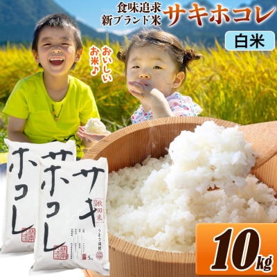 米 サキホコレ【白米】令和7年産 10kg|22_ssn-051001h_sf