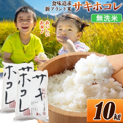 米 サキホコレ【無洗米】令和7年産 10kg|22_ssn-051001m_sf