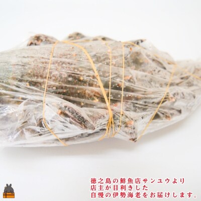 新鮮なまますぐ冷凍!!徳之島産冷凍“特大”伊勢海老1尾(1.5kg以上)