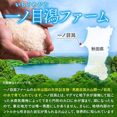 ＜令和7年産＞「秋田県男鹿市北浦産」あきたこまち(玄米)10kg|23_imf-011001