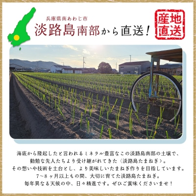 【あさひサンファーム】【混合3kg】兵庫県認証食品★特別栽培★淡路島たまねぎ