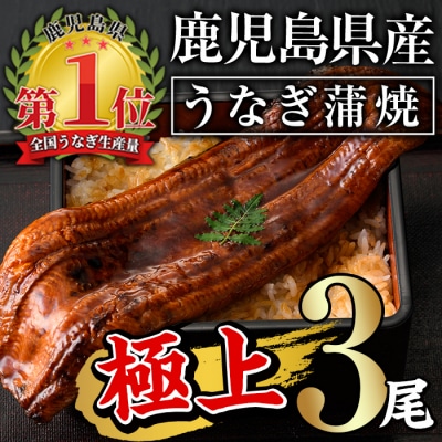 無投薬!鹿児島県産うなぎ蒲焼セット <極上>(約160～236g×3尾)タレ・山椒付き