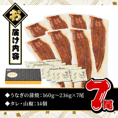 無投薬!鹿児島県産うなぎ蒲焼セット <極上>(約160～236g×7尾)タレ・山椒