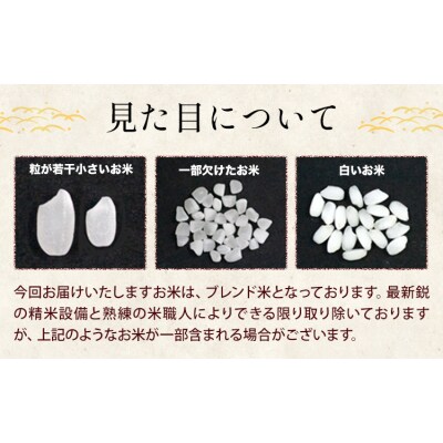 【隔月6回定期便】ひごみのり 白米 熊本県産 ブレンド米 5kg《お申込み翌月から出荷》