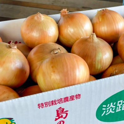 【あさひサンファーム】【混合20kg】兵庫県認証食品★特別栽培★淡路島たまねぎ