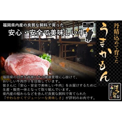 【全3回定期便】博多和牛ローススライス400g【博多和牛】.ED005