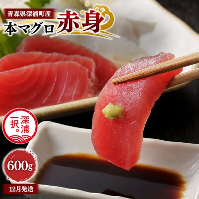 【12月発送】青森県深浦町産 天然本マグロ 赤身 600g 200g×3  冷凍柵