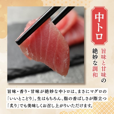 【12月発送】青森県深浦町産 天然本マグロ 中トロ 400g 200g×2  冷凍柵
