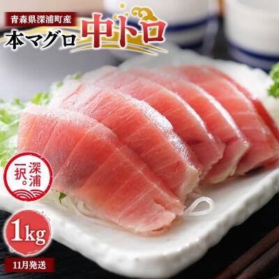 【11月発送】青森県深浦町産 天然本マグロ 中トロ 1kg 200g×5  冷凍柵