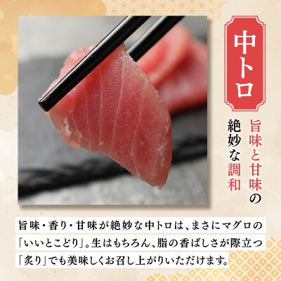 【11月発送】青森県深浦町産 天然本マグロ 中トロ 1kg 200g×5  冷凍柵