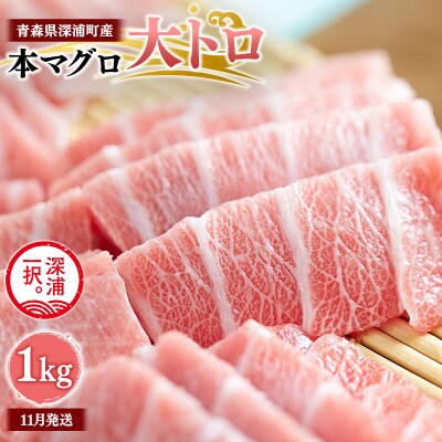 【11月発送】青森県深浦町産 天然本マグロ 大トロ 1kg 200g×5  冷凍柵