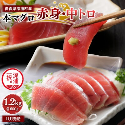 【11月発送】青森県深浦町産 天然本マグロ 赤身 中トロ1.2kg 各600g  冷凍柵
