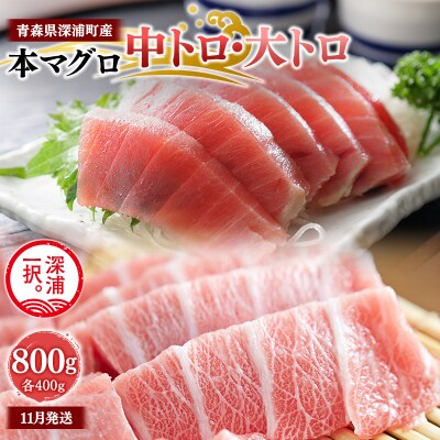 【11月発送】青森県深浦町産 天然本マグロ 中トロ 大トロ 800g 各400g  冷凍柵