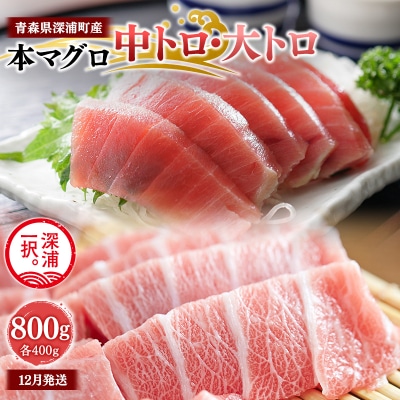 【12月発送】天然本マグロ 中トロ 大トロ 800g 各400g 青森県深浦町産  冷凍柵