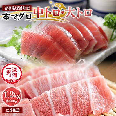 【12月発送】天然本マグロ 中トロ 大トロ 1.2kg 各600g 青森県深浦町産  冷凍柵