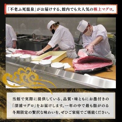 【12月発送】天然本マグロ 中トロ 大トロ 1.2kg 各600g 青森県深浦町産  冷凍柵