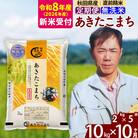 R8産 新米受付《定期便10ヶ月》秋田県産 あきたこまち10kg【無洗米】|msrf-32810s