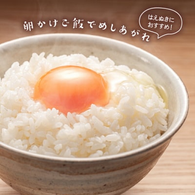 令和7年産 はえぬき 10kg ( 5kg × 2袋 ) 精米
