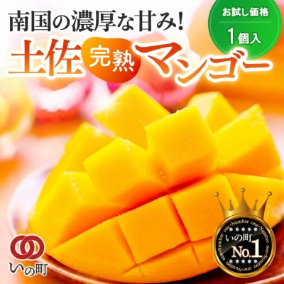 かおる・とろける!土佐マンゴー1個