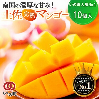 かおる・とろける!土佐マンゴー10個