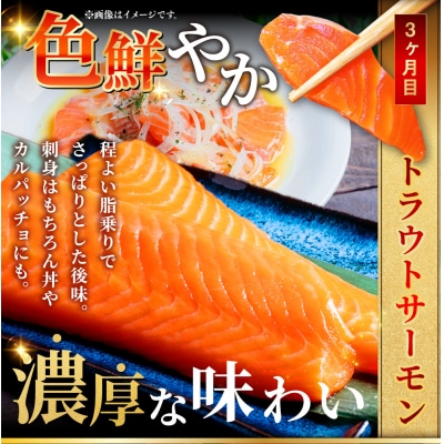 北の味覚海鮮3点定期便 北洋天然沖獲り甘塩紅鮭 サーモン400g ほたて500g