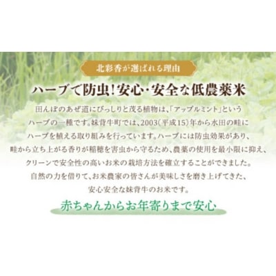 【先行受付】令和8年産妹背牛産【プレミアム北彩香(ななつぼし)】白米10kg(2026年10月発送)
