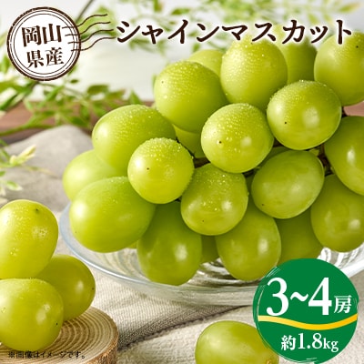 岡山県真庭市　岡山産直工房　シャインマスカット　(3～4房)　1.8kg