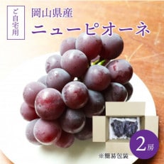 真庭市産 ニューピオーネ ご自宅用2房